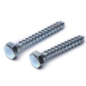 Coach Screw Supplier in Jakarta, Indonesia