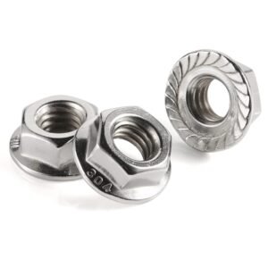 Flange Nut Supplier in Jakarta, Indonesia