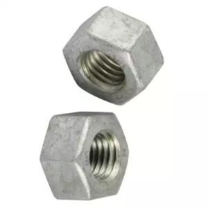 HDG Nut Supplier in Jakarta, Indonesia
