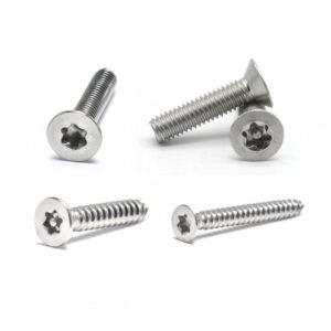 Torx Head Screw Supplier in Jakarta, Indonesia